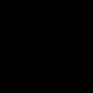 Meet your Posher, Izzy